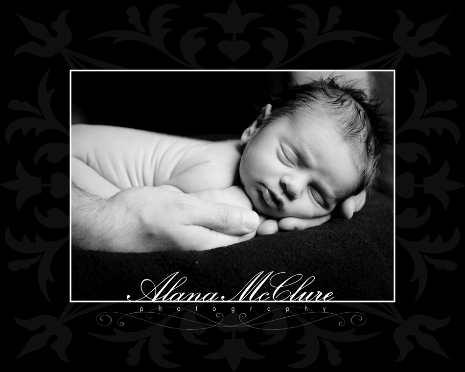 In Daddy's Hands - Toronto Newborn Photographer Alana McClure