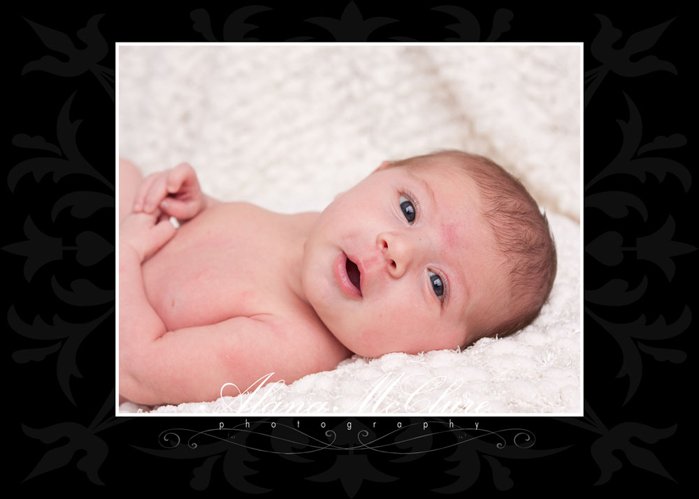 Scaarborough  Newborn Photographer