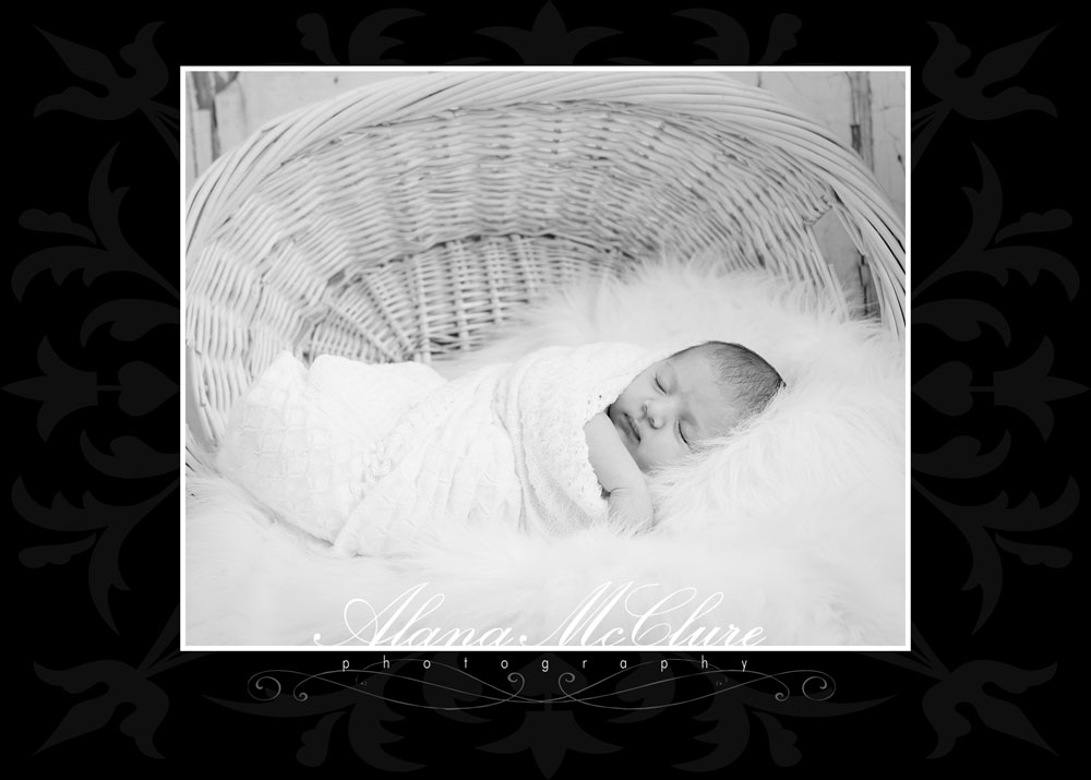 Brooklin Newborn Photographer